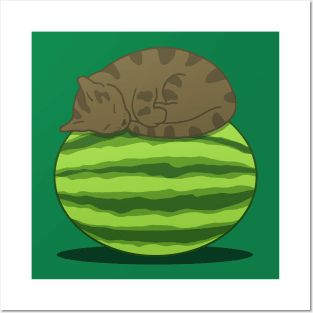 Cat Melon Posters and Art